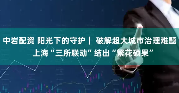 中岩配资 阳光下的守护｜ 破解超大城市治理难题   上海“三所联动”结出“繁花硕果”