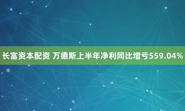 长富资本配资 万德斯上半年净利同比增亏559.04%